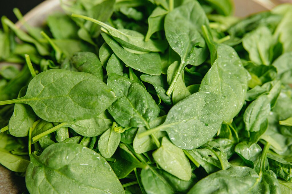 Close-up of fresh spinach leaves with water droplets, highlighting their vibrant green color and freshness.